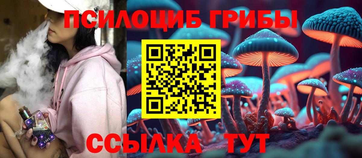 Галлюциногенные грибы Magic Shrooms Гуково