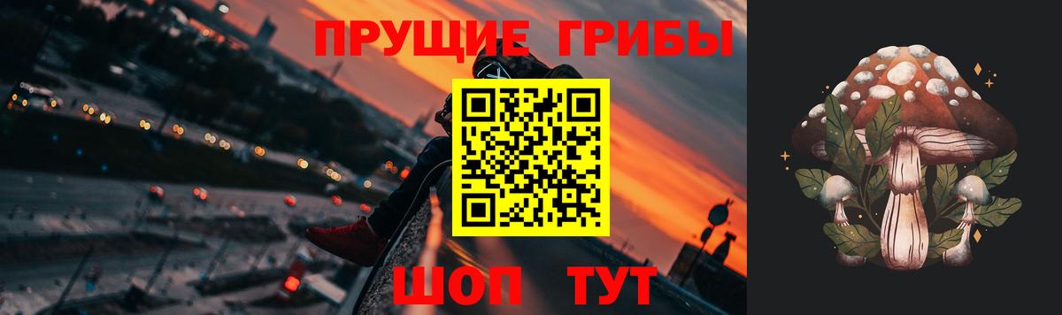 Псилоцибиновые грибы мицелий  Вход с VPN  Гуково 
